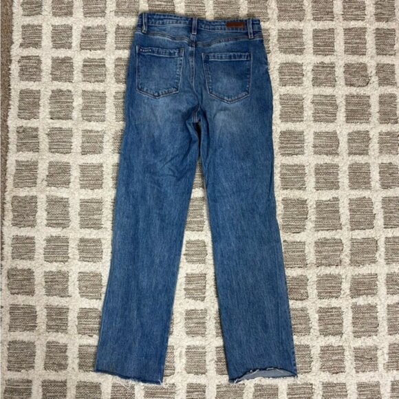 BLANKNYC Howard Med Rise Loose Fot Distressed Jeans Size 25 - Picture 5 of 7